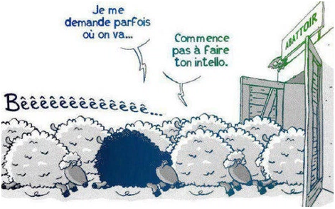 mouton-conformisme.png